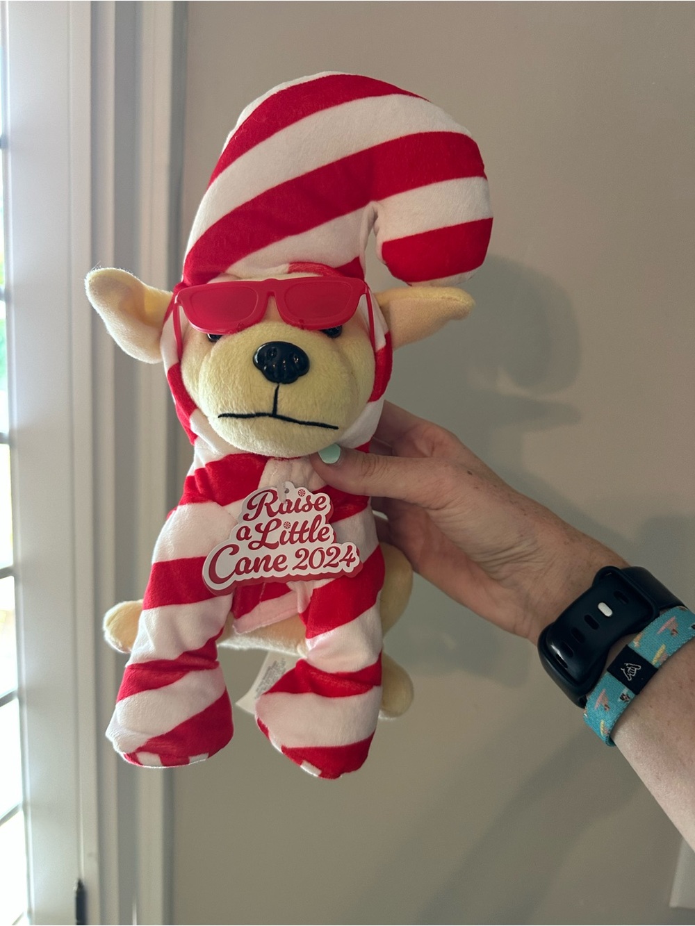 Raising Canes Raise a Little Cane 2024 Candy Cane Plush Dog with Red Sunglasses